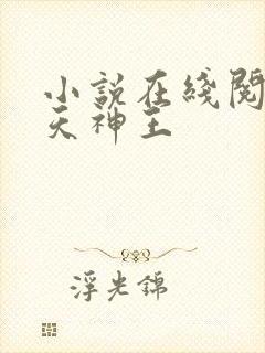 小说在线阅读霸天神王