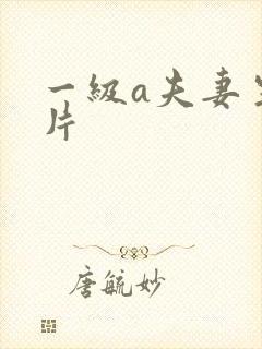 一级a夫妻生活片