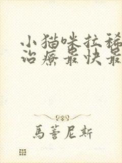 小猫咪拉稀怎么治疗最快最有效