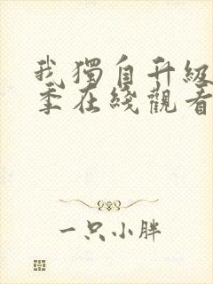 我独自升级第二季在线观看免费封面