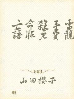 亡命杀手电影国语版免费观看