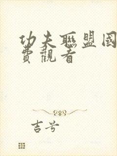 功夫联盟国语免费观看