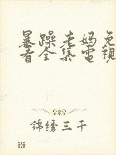 暴躁老妈免费观看全集电视剧下载