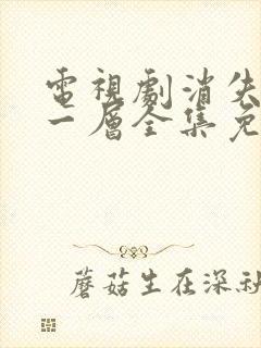 电视剧消失的十一层全集免费观看