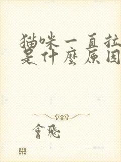 猫咪一直拉肚子是什么原因