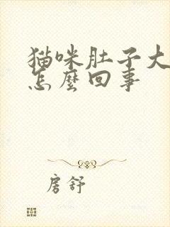 猫咪肚子大消瘦怎么回事