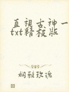 直视古神一整年txt精校版
