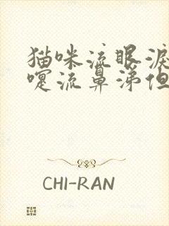 猫咪流眼泪打喷嚏流鼻涕但是吃喝正常