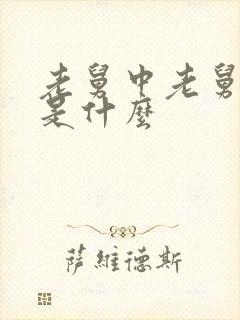 老舅中老舅结局是什么