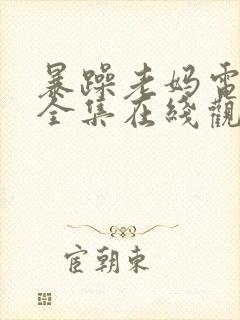 暴躁老妈电视剧全集在线观看