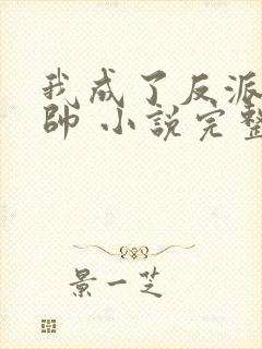 我成了反派高富帅 小说完整