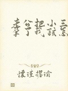 老公把小三搞怀孕了我该怎么办