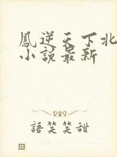 凤逆天下北月篇小说最新