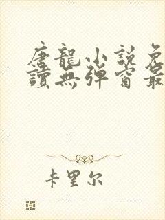 唐龙小说免费阅读无弹窗最新章节封面