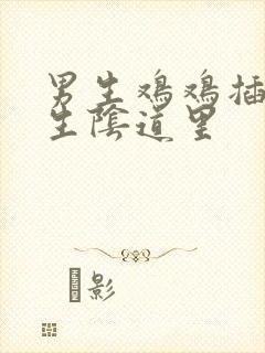 男生鸡鸡插进女生阴道里