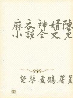 麻衣神婿陈黄皮小说全文免费阅读封面