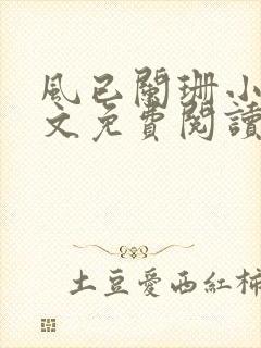 风已阑珊小说全文免费阅读最新章节