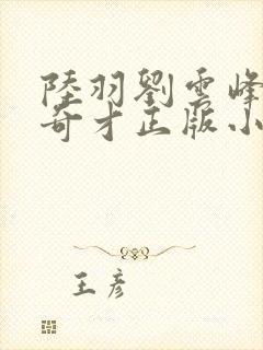 陆羽刘云峰鸿途奇才正版小说