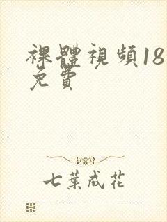 裸体视频18禁免费