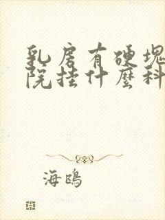 乳房有硬块去医院挂什么科封面