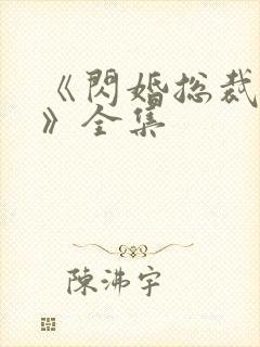 《闪婚总裁都很》全集