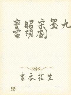 窦昭宋墨九重紫电视剧