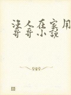 没人在家用点力哥哥小说