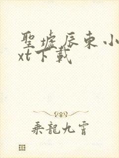 圣墟辰东小说txt下载封面