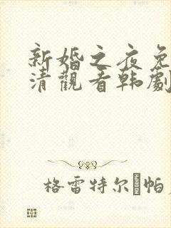 新婚之夜免费高清观看韩剧
