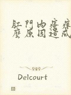 肛门内瘙痒是什么原因造成的