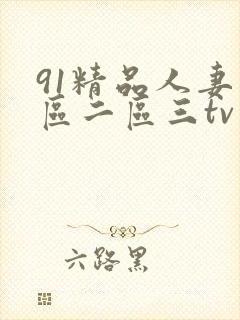 91精品人妻一区二区三tv