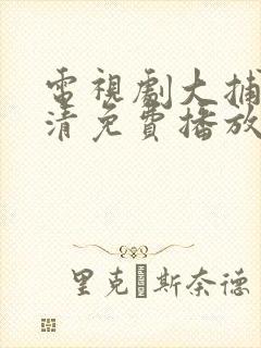 电视剧大捕房高清免费播放