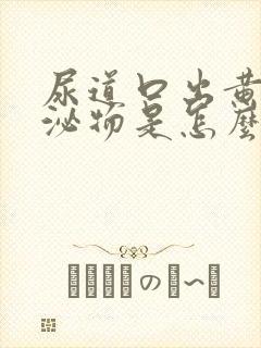 尿道口出黄色分泌物是怎么回事封面