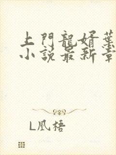 上门龙婿叶辰 小说最新章节