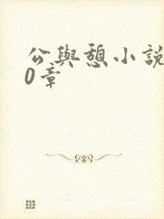 公与憩小说400章