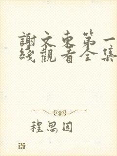 谢文东第一季在线观看全集