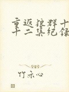 重返狼群十周年十二集纪录片完整版