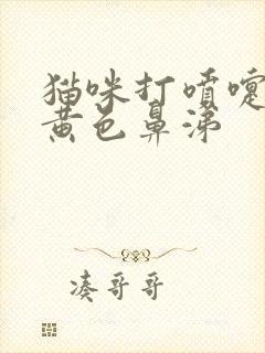 猫咪打喷嚏有淡黄色鼻涕