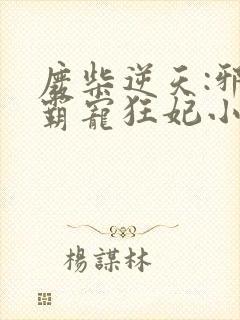 废柴逆天:邪王霸宠狂妃小说