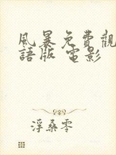 风暴免费观看国语版 电影