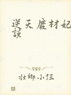 逆天废材妃 小说