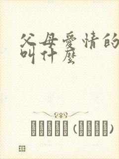 父母爱情的老丁叫什么封面