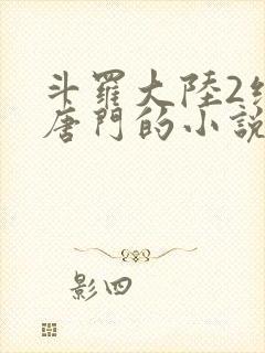 斗罗大陆2绝世唐门的小说