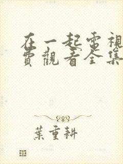 在一起电视剧免费观看全集完整版