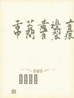 舌苔黄边有齿痕中间有裂痕封面