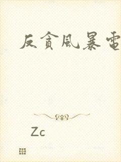 反贪风暴电影5封面