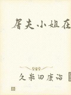 屠夫小姐在哪看封面