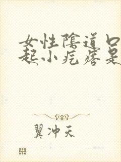 女性阴道口外面起小疙瘩是怎么回事