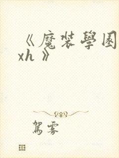 《魔装学园 hxh 》