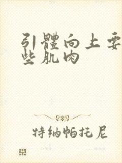 引体向上要练哪些肌肉封面